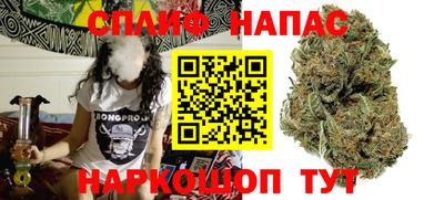 сатива Кимры