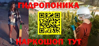 сатива Кимры