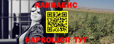 сатива Кимры