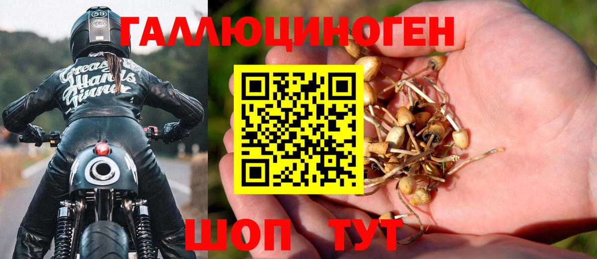 Псилоцибиновые грибы Psilocybine cubensis  Вход с VPN  Псилоцибиновые грибы мицелий  Шарыпово 
