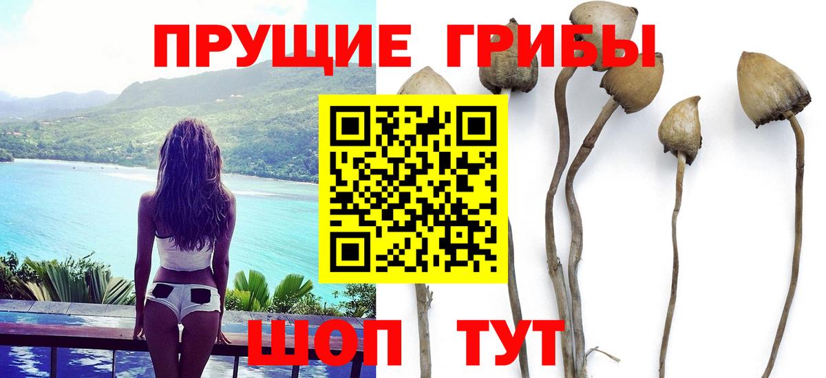 Героин Шарыпово